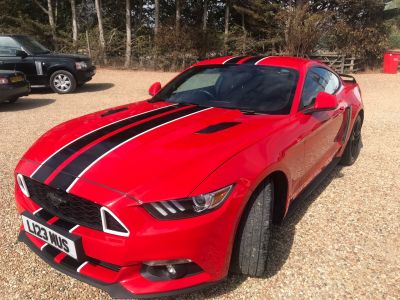 FORD MUSTANG ECOBOOST - 3822 - 7